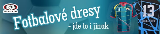 Fotbalové dresy Bison Sportswear
